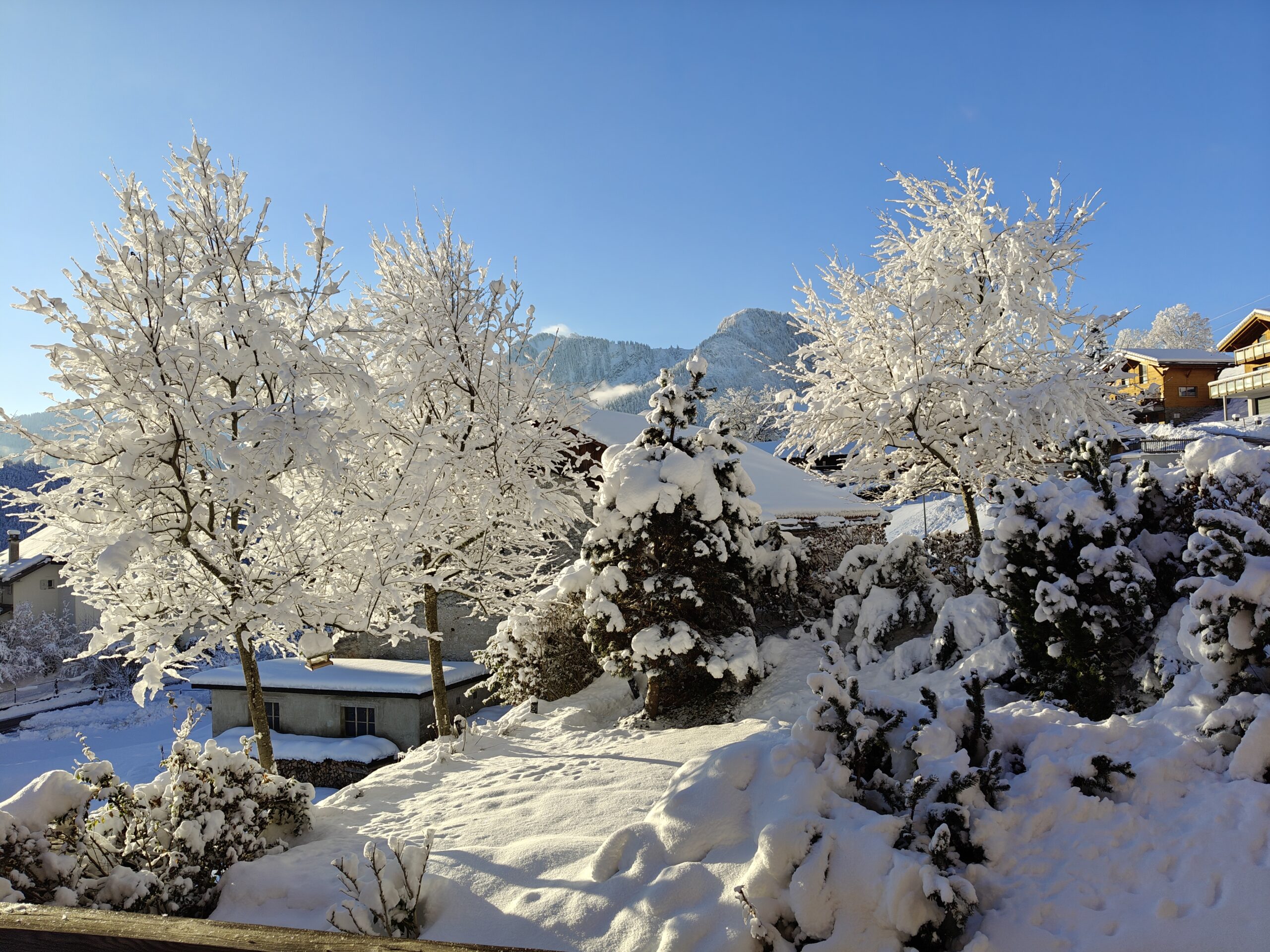 Carte de visite BnB Le Chalet